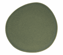 Assiette plate - 030359 -  42 28 cm