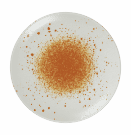 Assiette plate sans aile - 162031 -   27 cm 