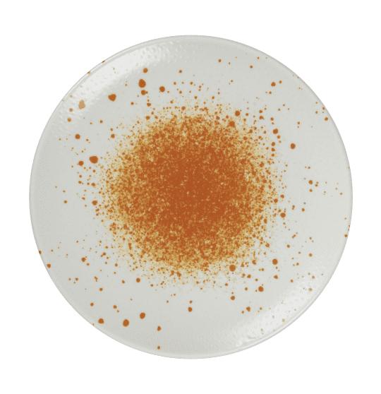 Assiette plate sans aile - 162031 -   27 cm 