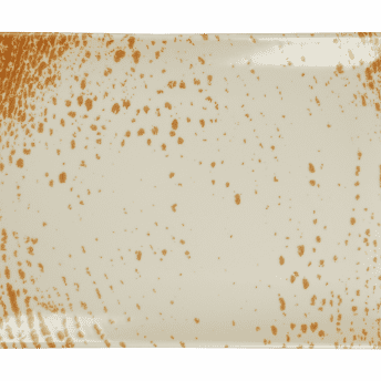 Assiette rectangulaire - 162013 - 30x20 cm