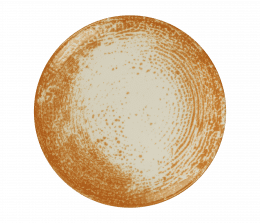 Assiette à dessert plate sans aile - 162010 -   21 cm 