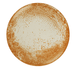 Assiette plate sans aile - 162011 -   27 cm 